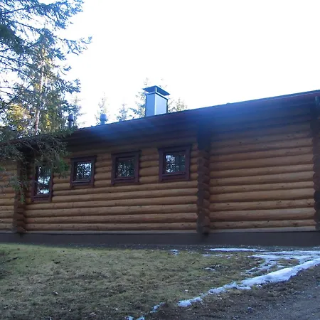 Hevossilta-2